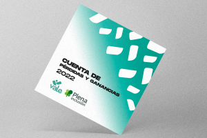 Cuenta de pérdidas y ganancias 2022