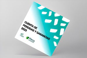 Cuenta de pérdidas y ganancias 2023