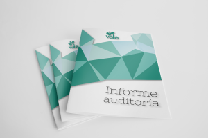 Informe de auditoría 2021