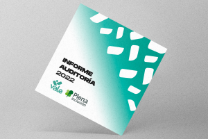 Informe de auditoría 2022