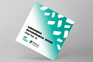Memoria cuentas 2022 – parte 2