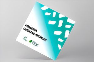 Memoria cuentas anuales 2023