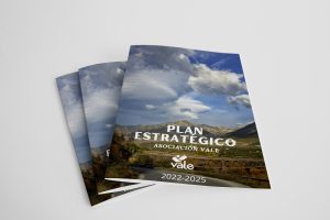 Plan estratégico 2022–2025