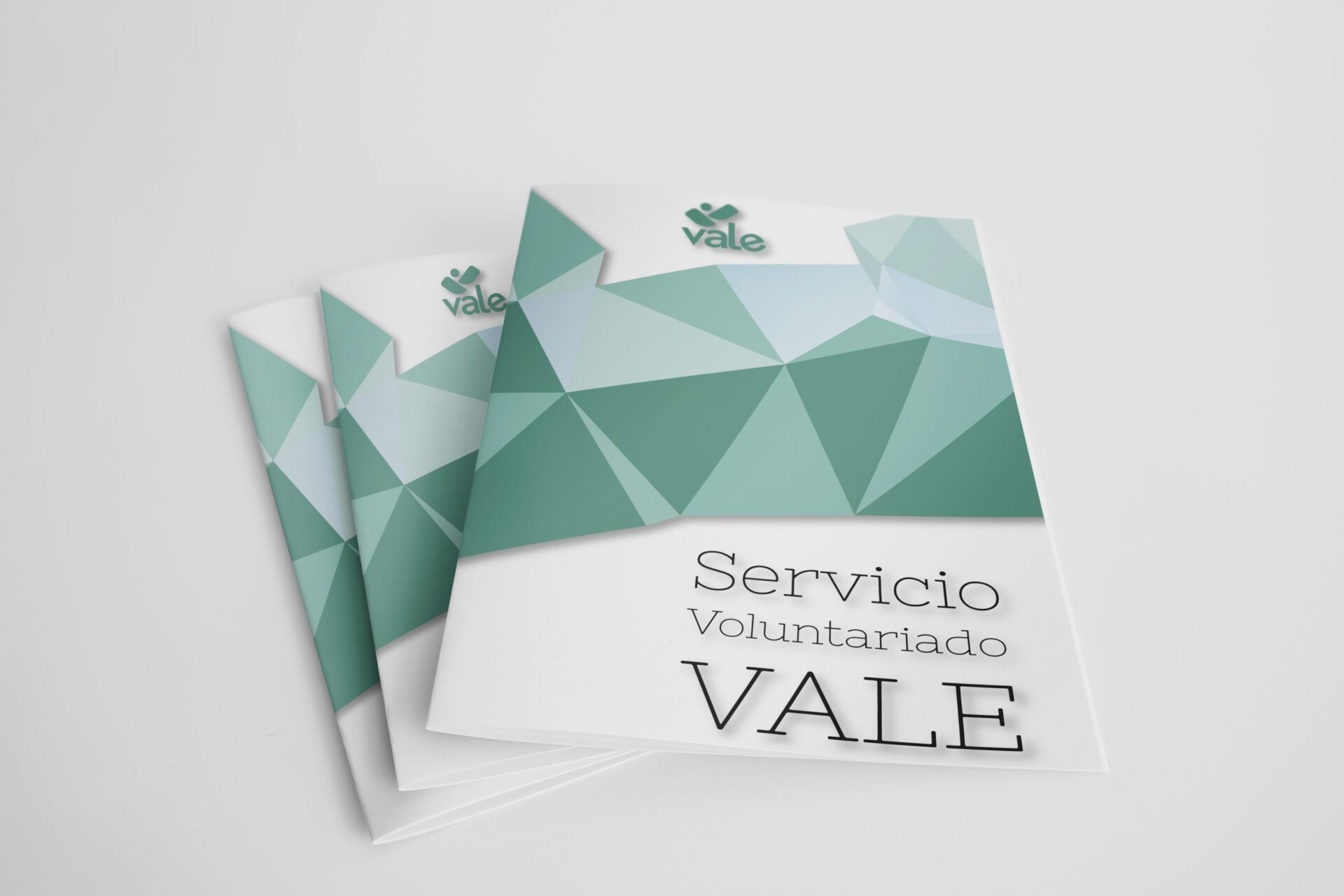 Servicio voluntariado VALE